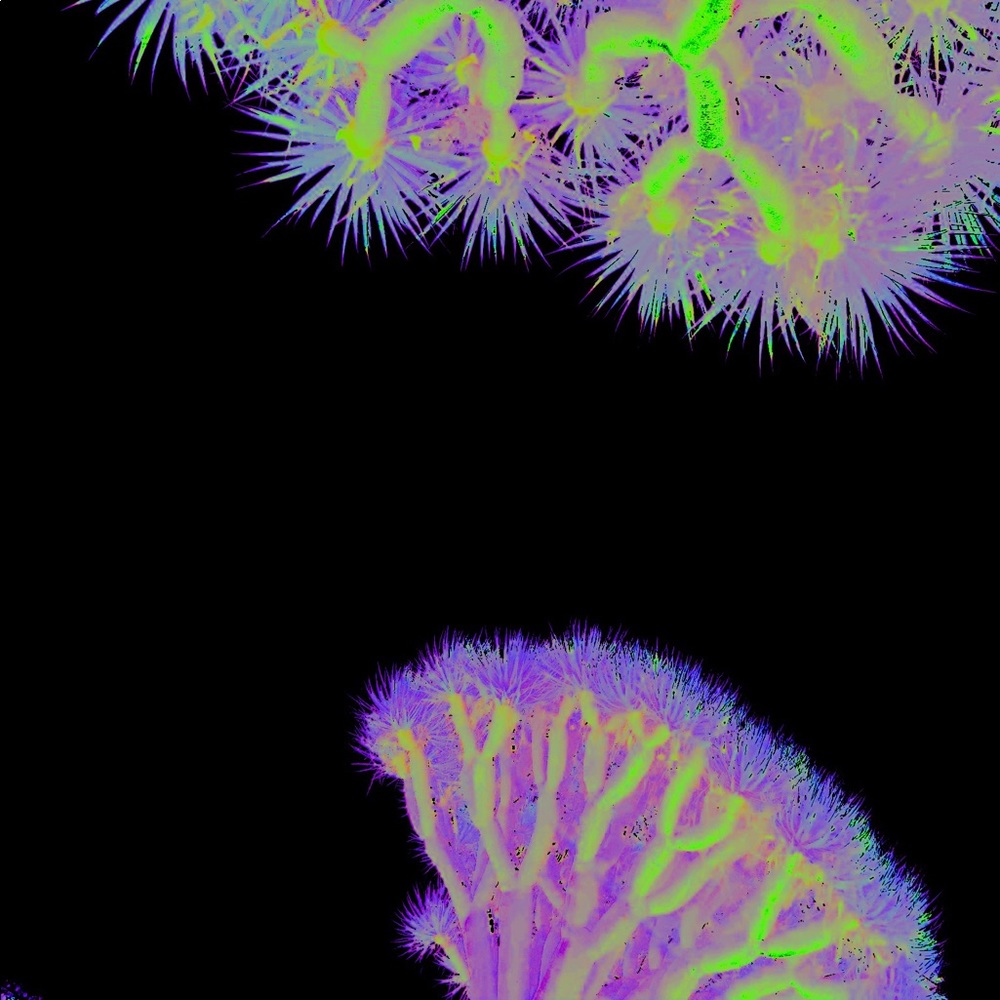 Meet your Posher, Carolyn